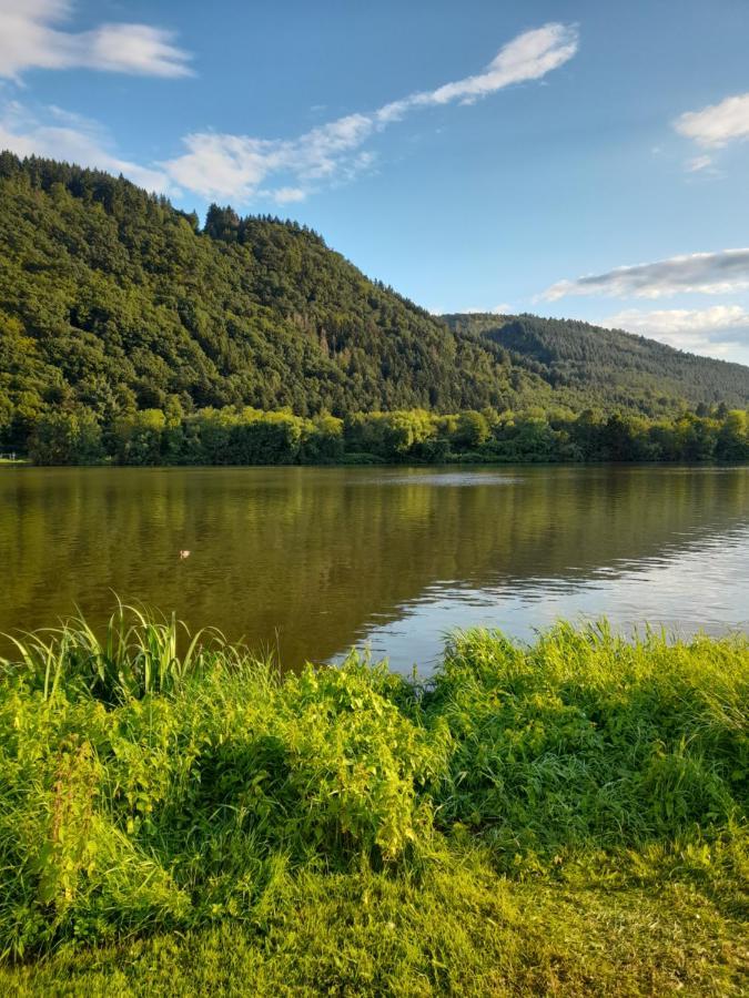 Ferienwohnungen Am Moselbeach Mehring (Rhineland-Palatinate) Exterior foto
