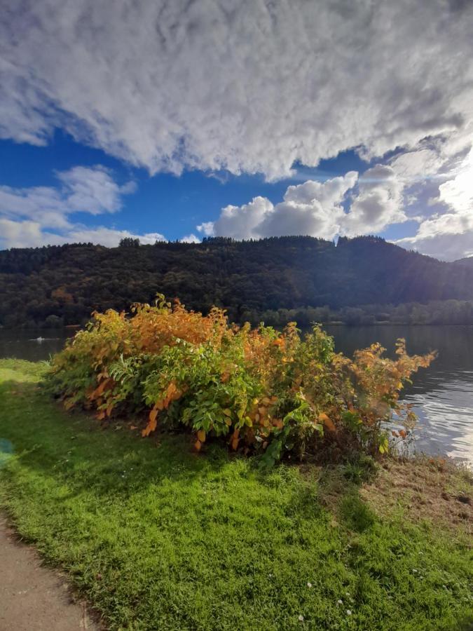 Ferienwohnungen Am Moselbeach Mehring (Rhineland-Palatinate) Exterior foto