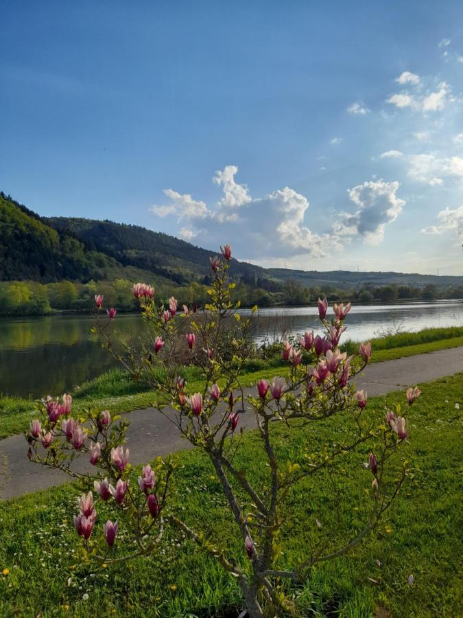 Ferienwohnungen Am Moselbeach Mehring (Rhineland-Palatinate) Exterior foto
