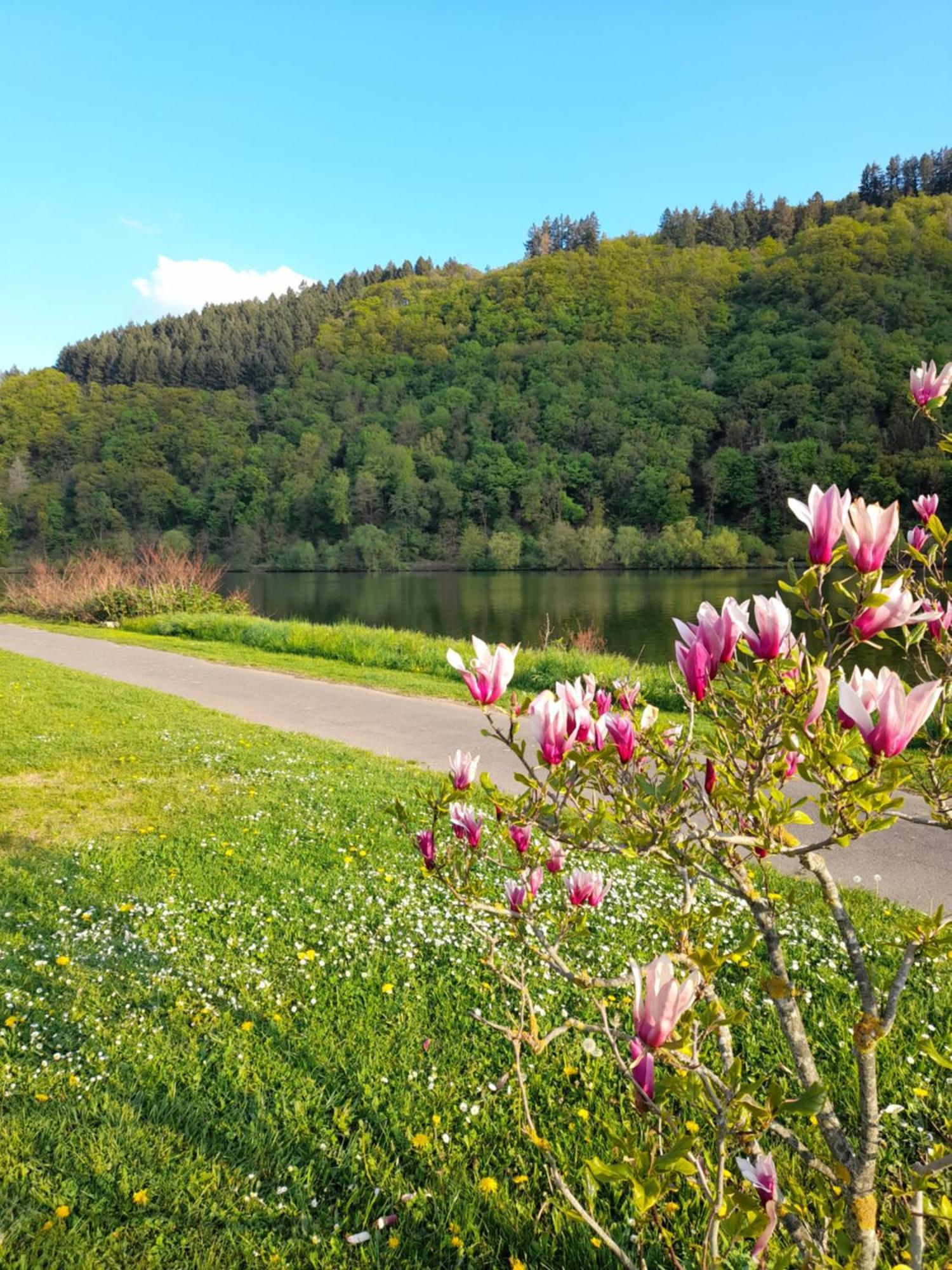 Ferienwohnungen Am Moselbeach Mehring (Rhineland-Palatinate) Quarto foto